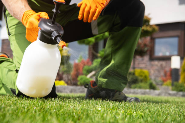 Bird Control in Myersville, MD