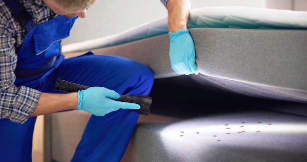 Best Termite Control Services  in Myersville, MD